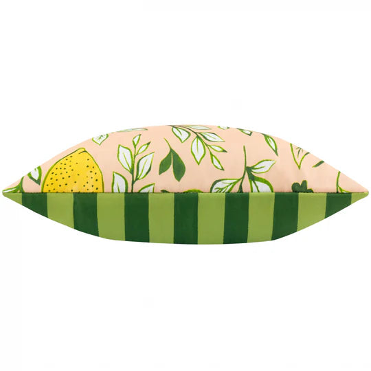 Citronello Outdoor Scatter Cushion