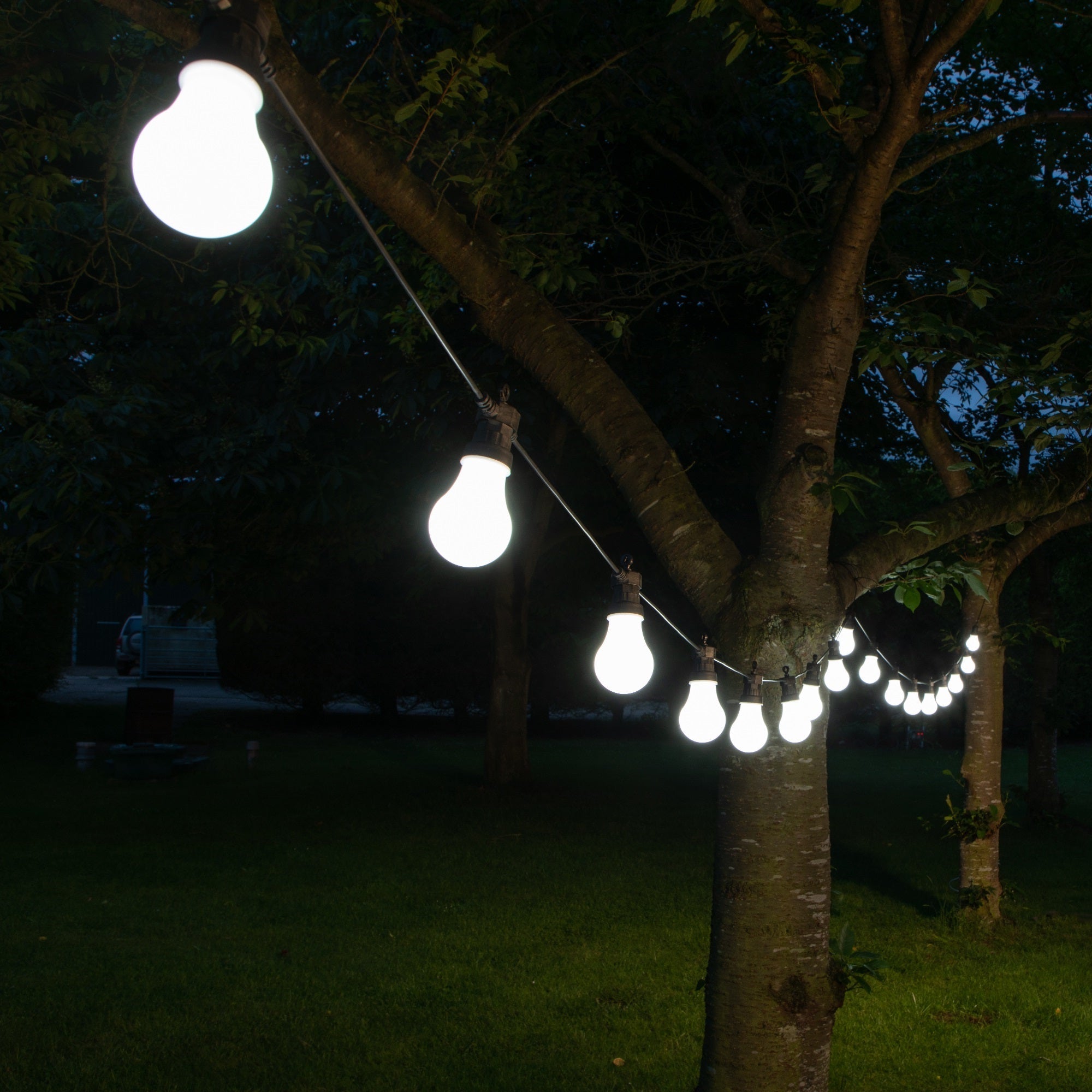 Outdoor Lights