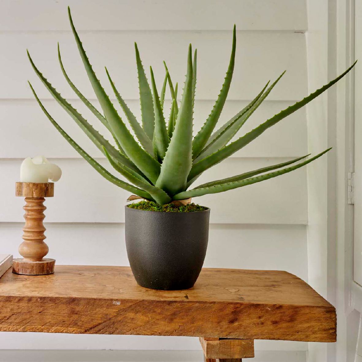 Artificial Plant | Aloe Vera in Pot 40cm