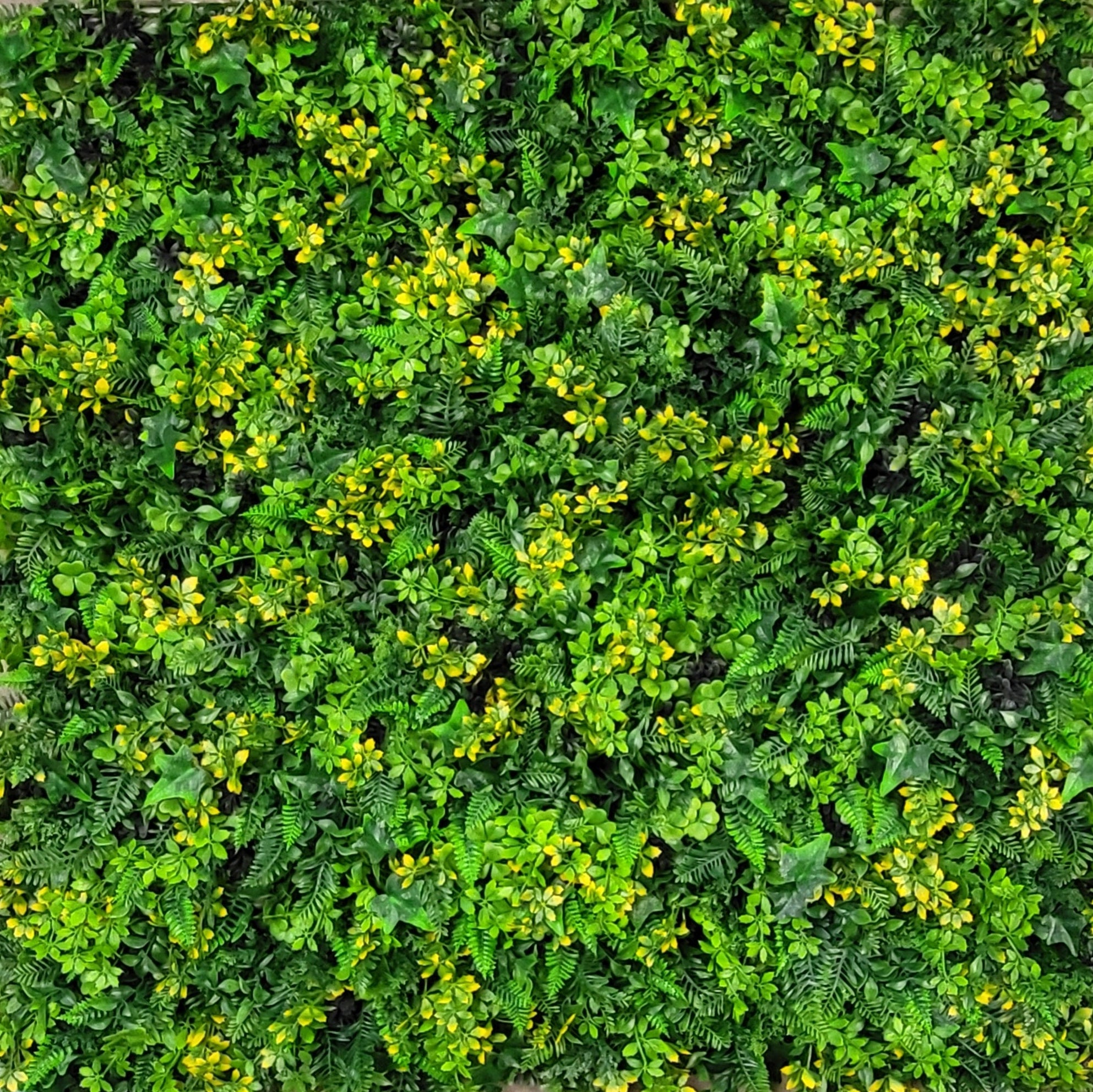 10 x Premium Outdoor Realistic Mixed Foliage Wall Panel | Grove