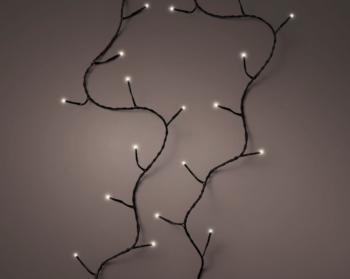 Christmas Lights | LED Twinkle Lights - Colour & Size Options